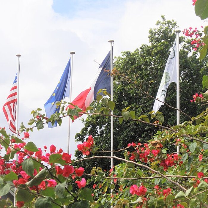Photo de Habitation Clément ou Domaine de lAcajou