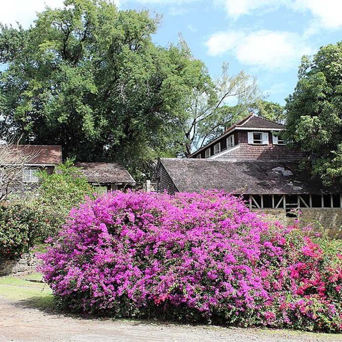 Photo de Habitation Clément ou Domaine de lAcajou