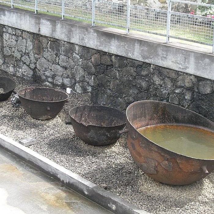 Photo de Habitation Clément ou Domaine de lAcajou