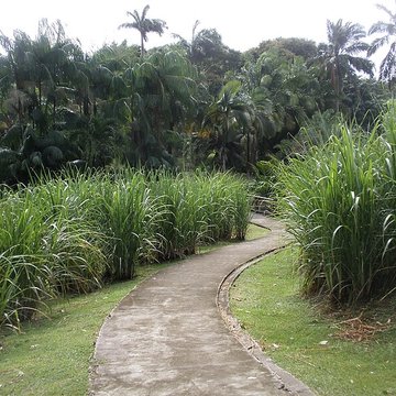 Habitation Clément ou Domaine de lAcajou