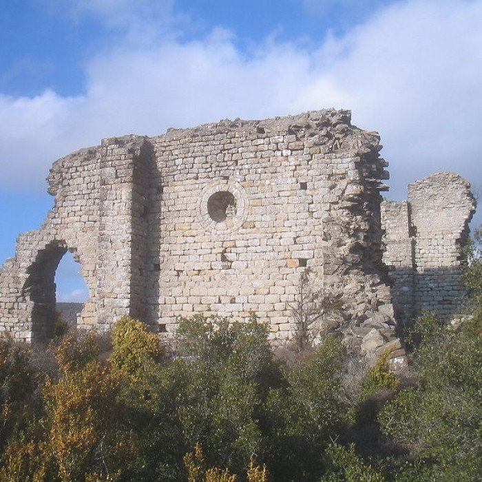 Photo de Ruines du prieuré de Saint-Michel-de-Nahuze