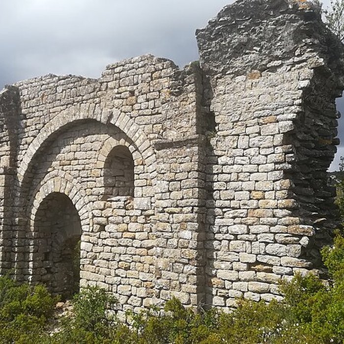 Photo de Ruines du prieuré de Saint-Michel-de-Nahuze