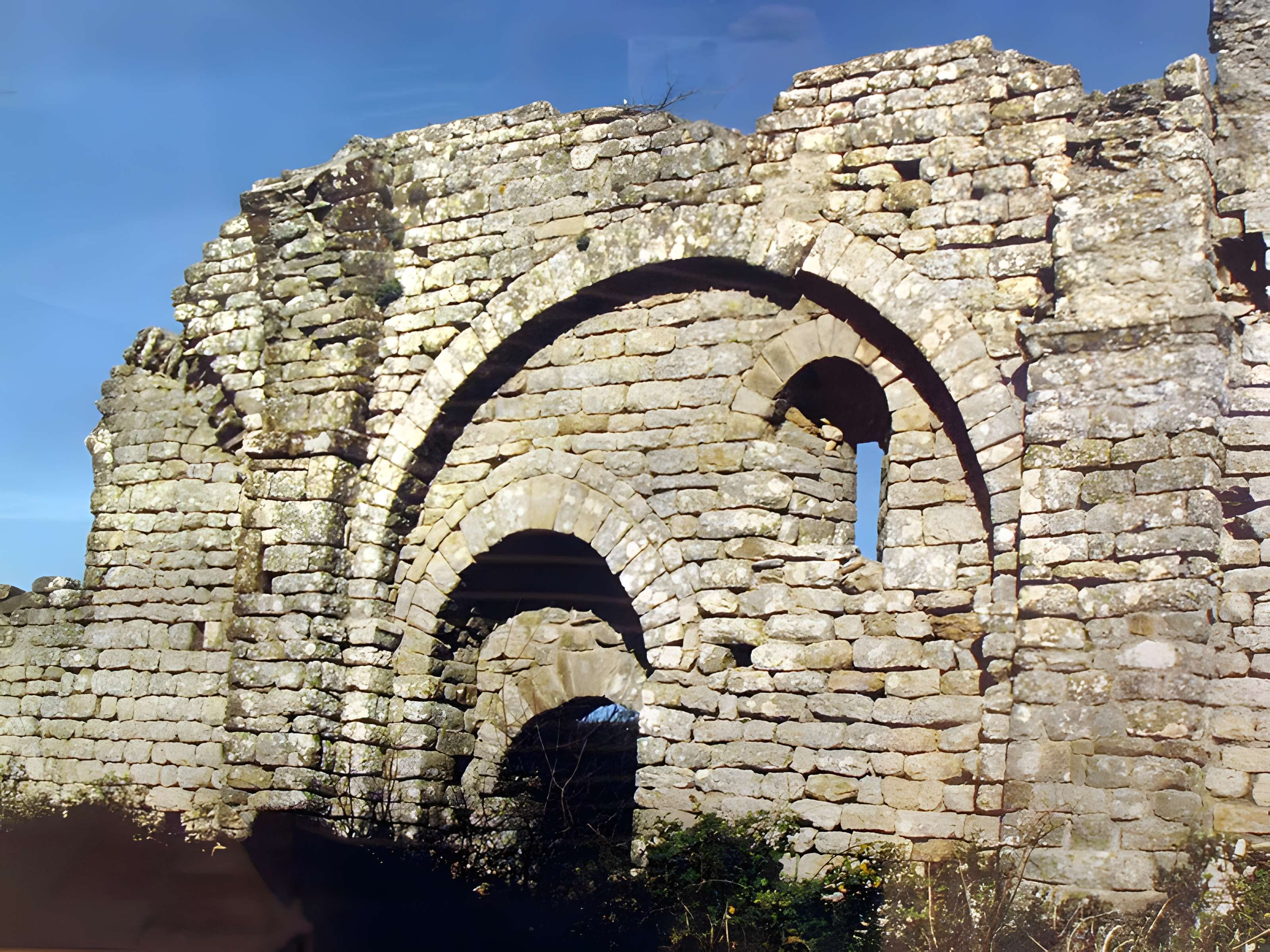 Ruines du prieuré de Saint-Michel-de-Nahuze