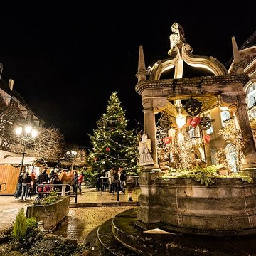 Puits à six seaux de Rosheim