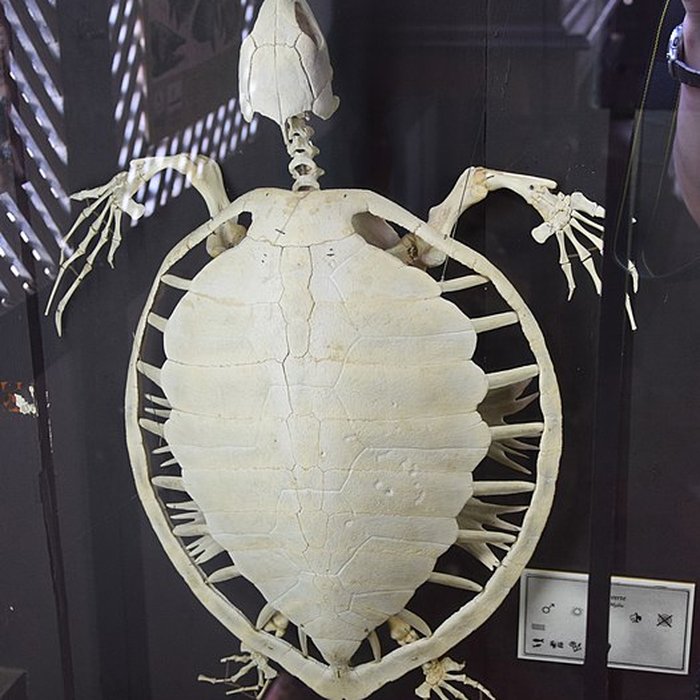 Photo de Immeuble Franconie