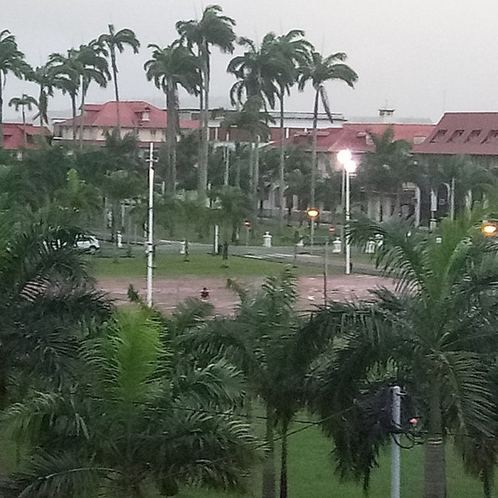 Photo de Place de lEsplanade, dite place des Palmistes