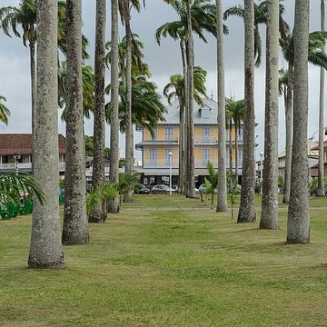Place de lEsplanade, dite place des Palmistes