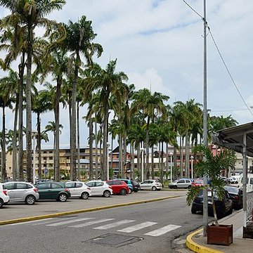 Place de lEsplanade, dite place des Palmistes