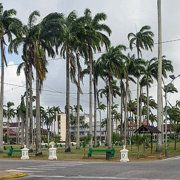 Place de lEsplanade, dite place des Palmistes