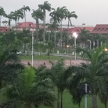 Place de lEsplanade, dite place des Palmistes