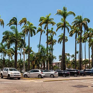 Place de lEsplanade, dite place des Palmistes