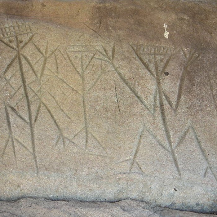 Photo de Roches gravées de la Carapa