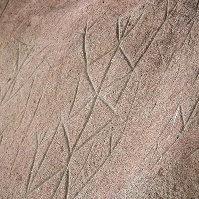 Photo de Roches gravées de la Carapa