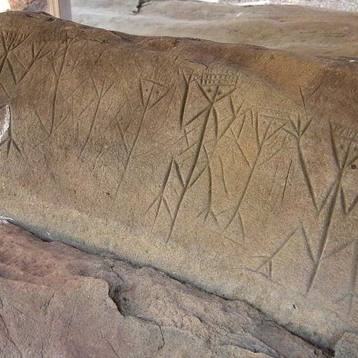 Photo de Roches gravées de la Carapa