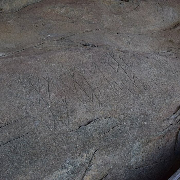 Photo de Roches gravées de la Carapa