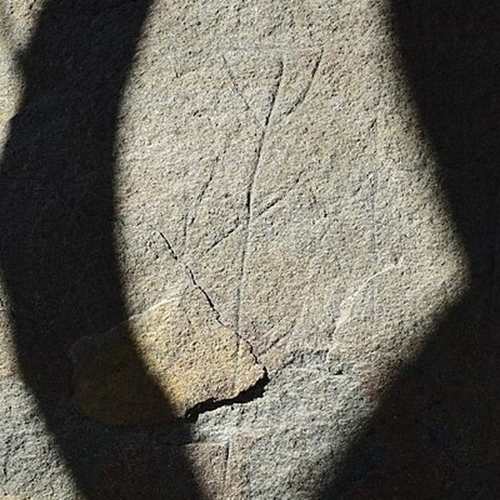 Photo de Roches gravées de la Carapa