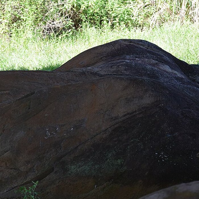 Photo de Roches gravées de la Carapa