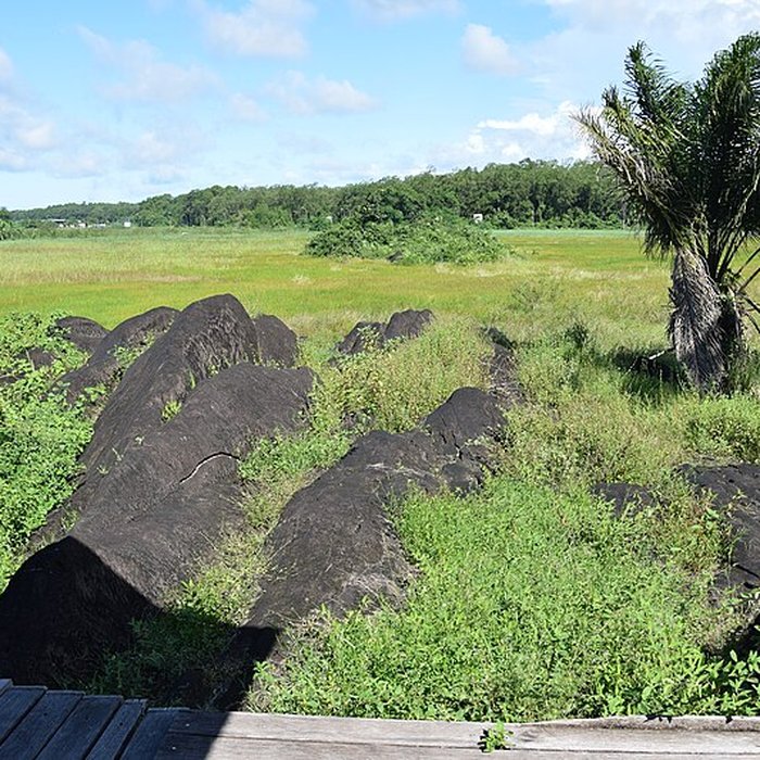 Photo de Roches gravées de la Carapa