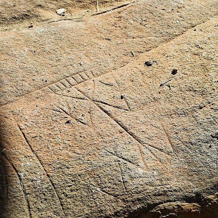 Photo de Roches gravées de la Carapa