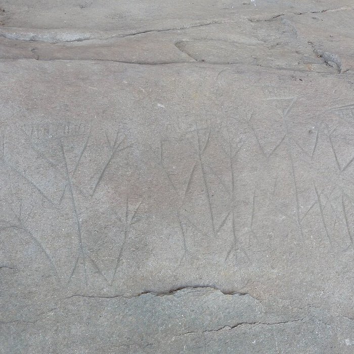 Photo de Roches gravées de la Carapa