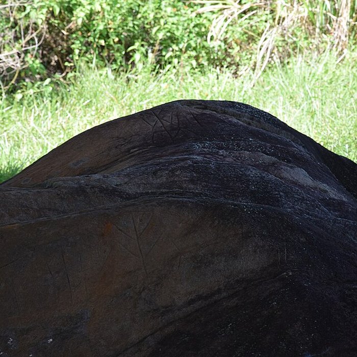 Photo de Roches gravées de la Carapa