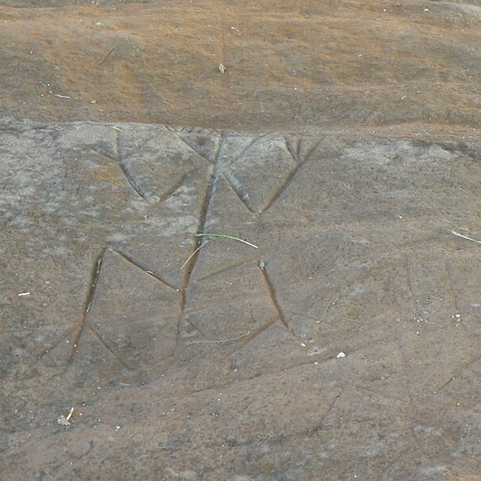 Photo de Roches gravées de la Carapa