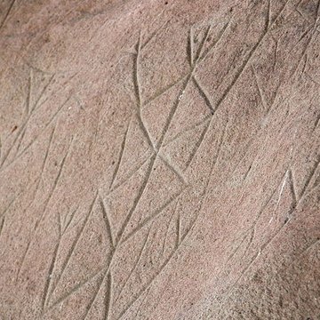 Roches gravées de la Carapa