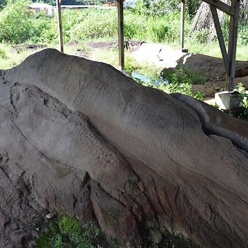 Roches gravées de la Carapa