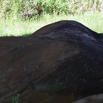 Roches gravées de la Carapa