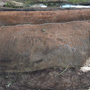 Roches gravées de la Carapa