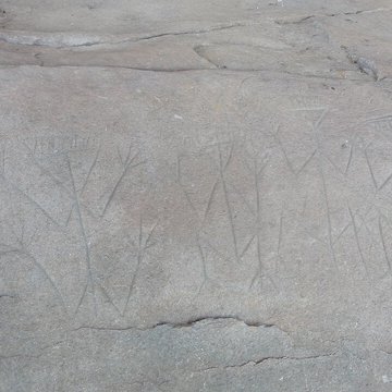 Roches gravées de la Carapa