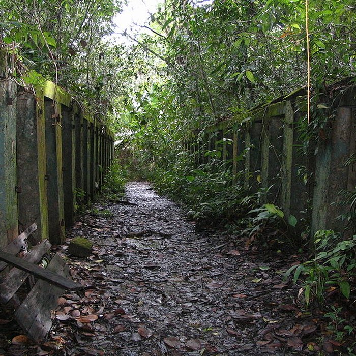 Photo de Camp central de Crique Anguille