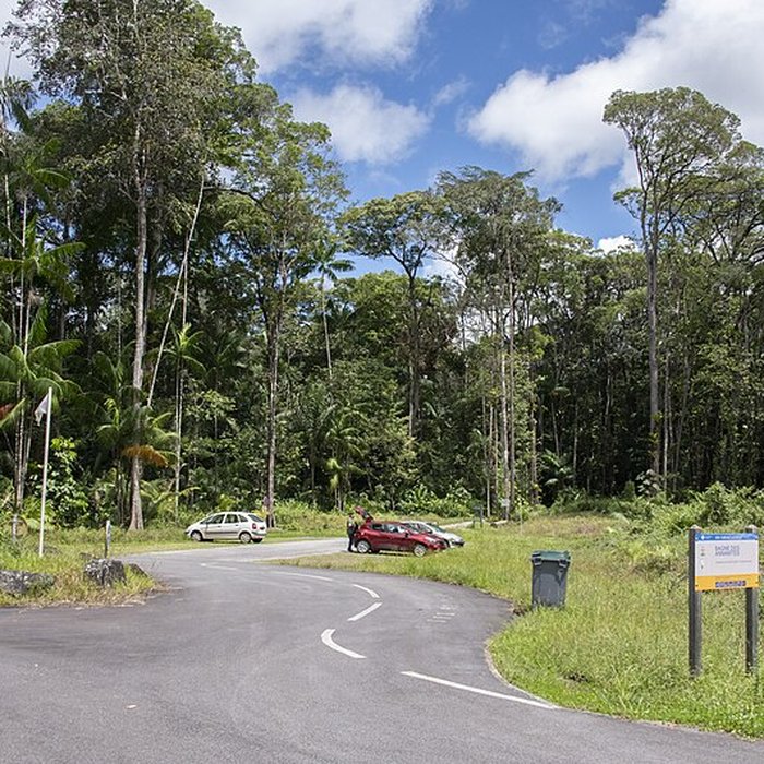 Photo de Camp central de Crique Anguille