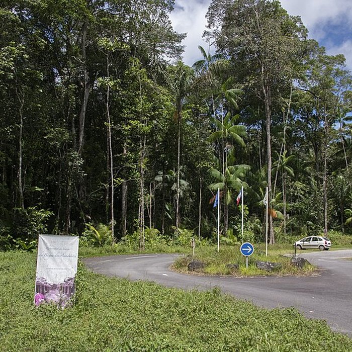 Photo de Camp central de Crique Anguille