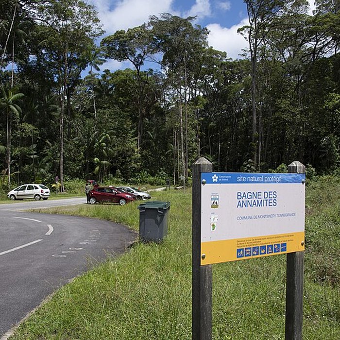 Photo de Camp central de Crique Anguille