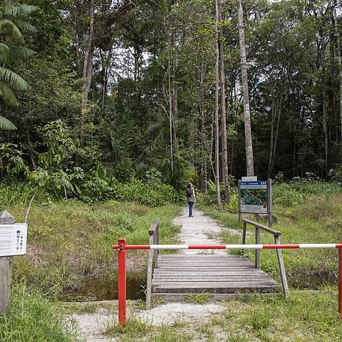 Photo de Camp central de Crique Anguille