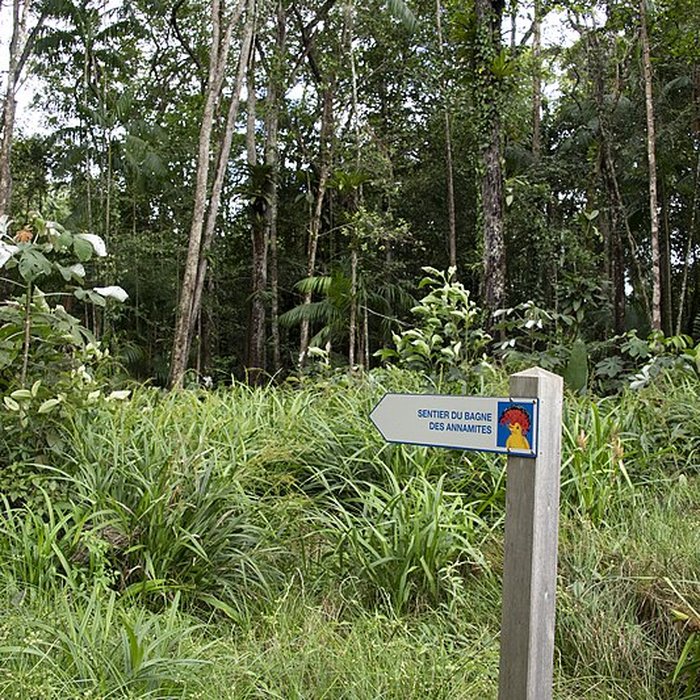 Photo de Camp central de Crique Anguille