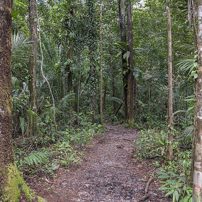 Photo de Camp central de Crique Anguille