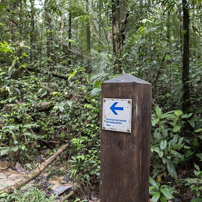 Photo de Camp central de Crique Anguille