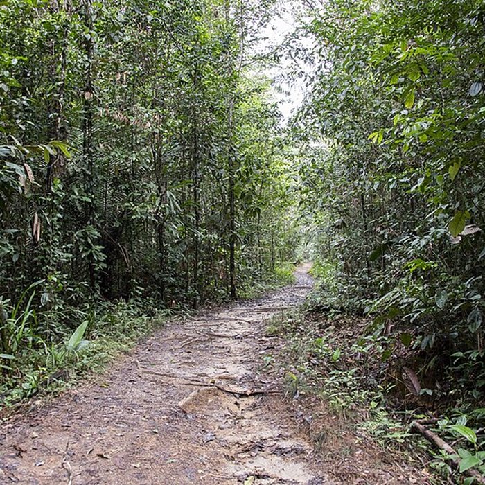 Photo de Camp central de Crique Anguille