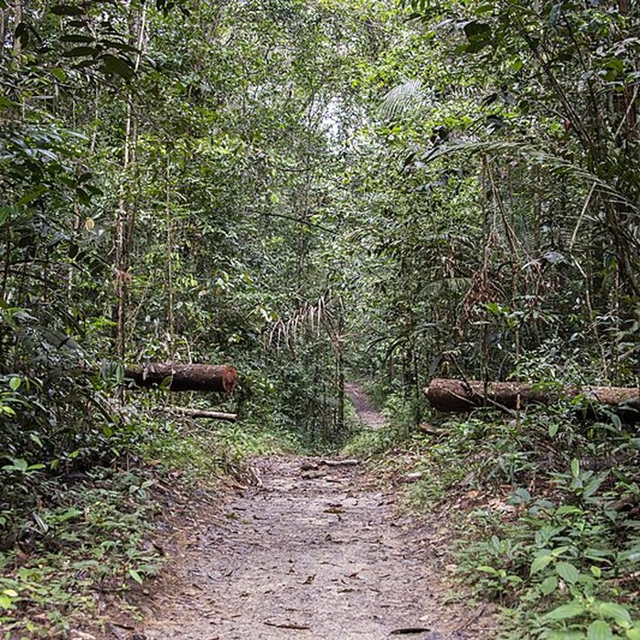 Photo de Camp central de Crique Anguille