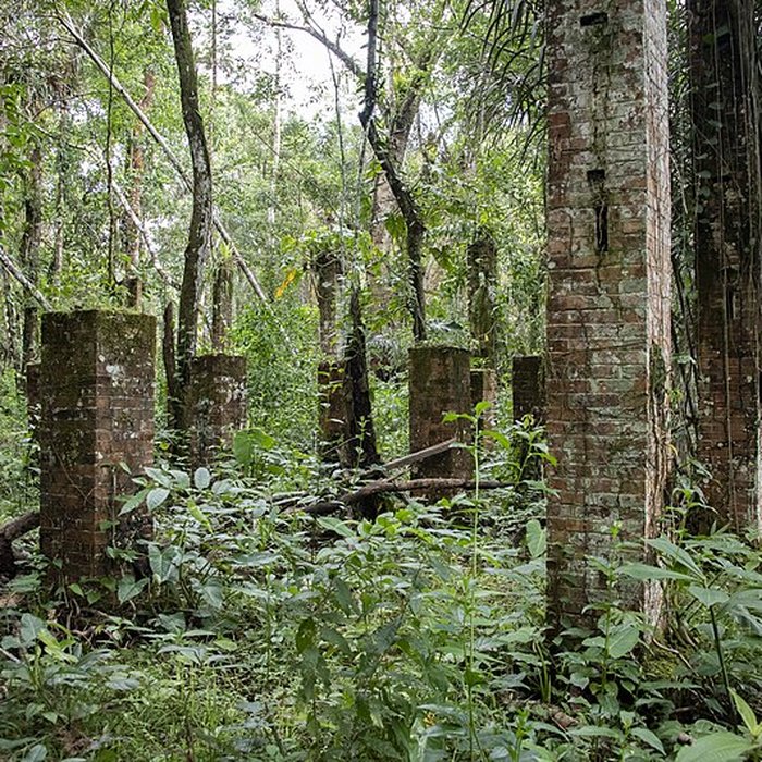 Photo de Camp central de Crique Anguille