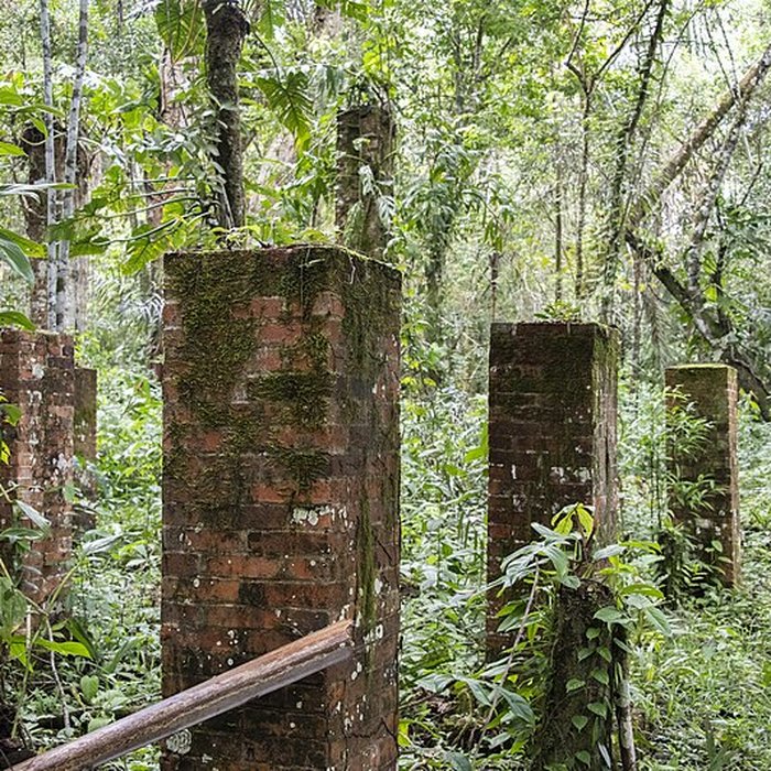 Photo de Camp central de Crique Anguille