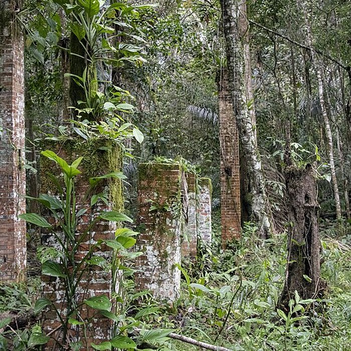 Photo de Camp central de Crique Anguille