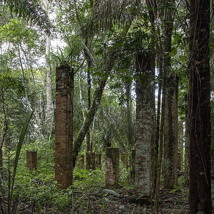 Photo de Camp central de Crique Anguille