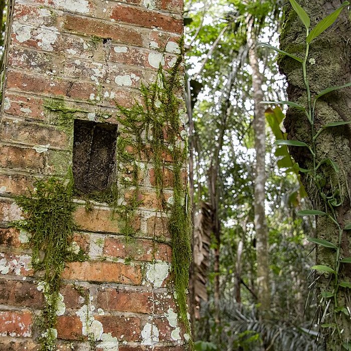 Photo de Camp central de Crique Anguille