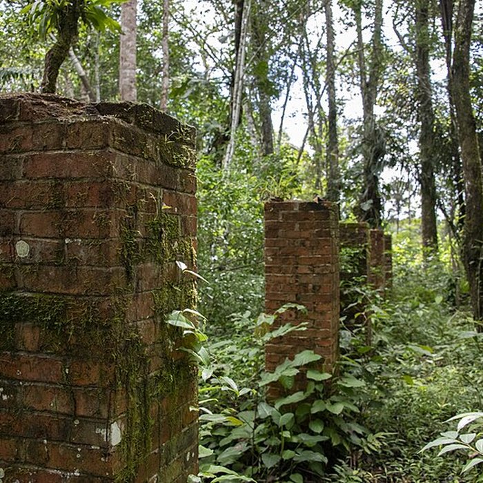 Photo de Camp central de Crique Anguille