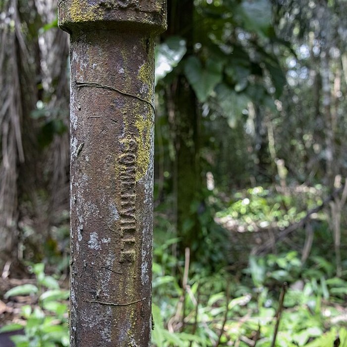 Photo de Camp central de Crique Anguille