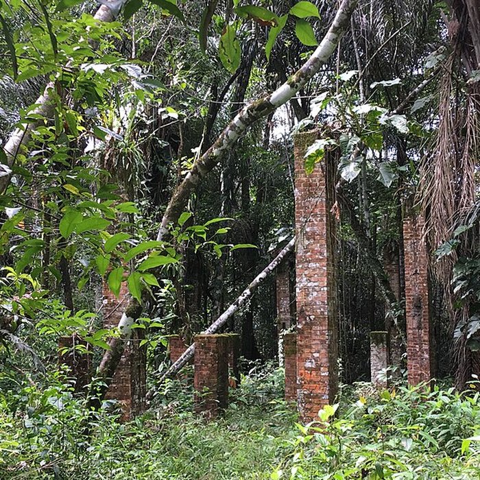 Photo de Camp central de Crique Anguille