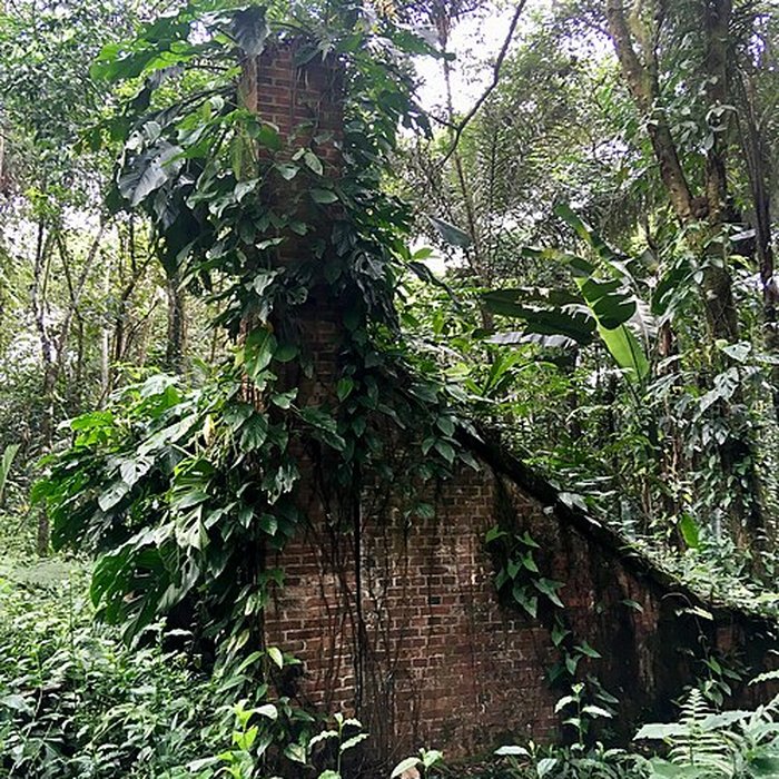 Photo de Camp central de Crique Anguille